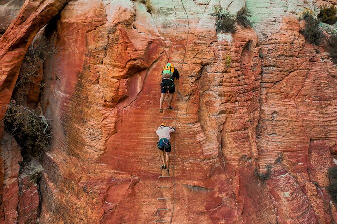 East Zion Elk Heart Cliffs Via Ferrata and Rappelling (3Hr) - Health and Safety Guidelines