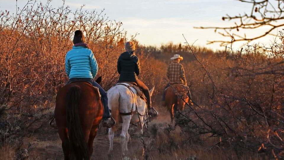 East Zion: Pine Knoll Horseback Tour - Tour Highlights