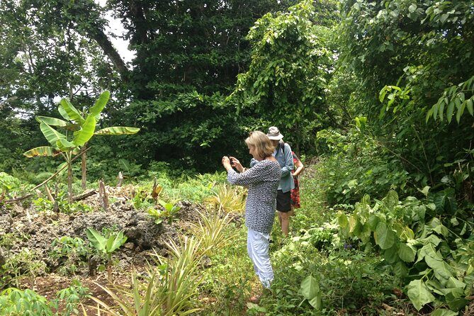 Eastcape Drive Tour - What’s Included and How It All Works