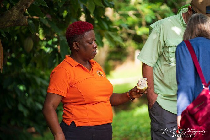 Eastern Tours/ Mt. Carmel Falls / Laura Spice Tour / Clarke's Court Distillery - FAQs