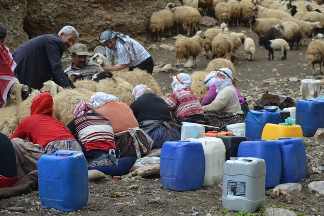 Eastern Turkey 12-DAY Sightseeing Tour From Trabzon - Mount Ararat Region