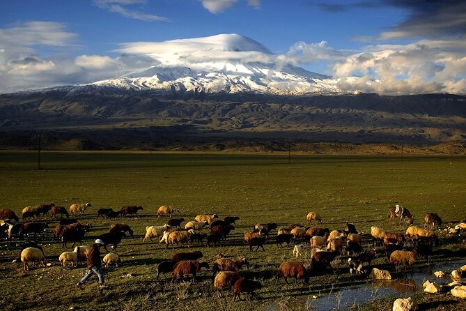 Eastern Turkey 12-DAY Sightseeing Tour From Trabzon - Transportation and Logistics