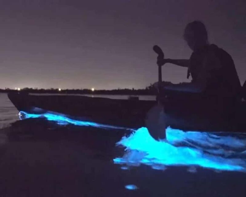 Eastsound: Orcas Island Bioluminescent Kayak Tour - Equipment and Safety