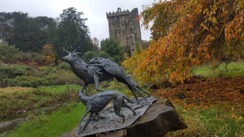 Easy Access - The Blarney Stone & Castle Gardens Tour - Customer Reviews and Ratings