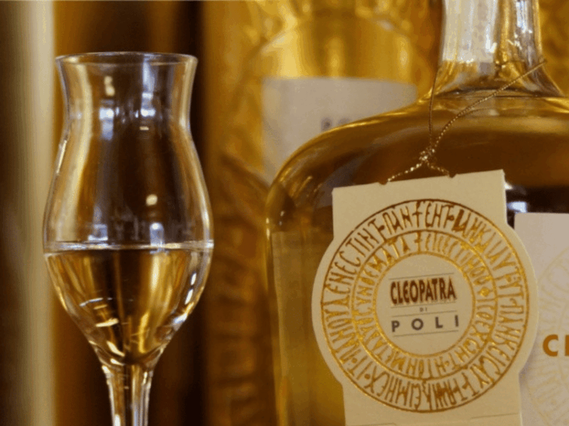 Easy Grappa Tasting in Venice - Pricing and Booking