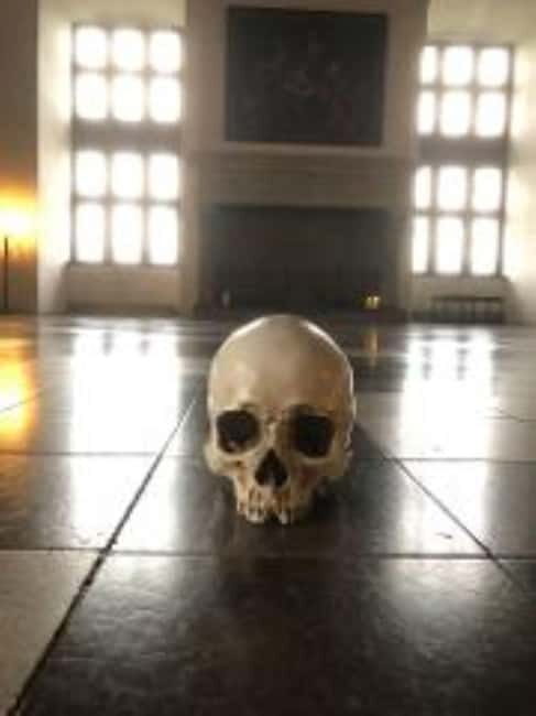 Easy Pace Tour of Kronborg Castle and Frederiksborg Palace - Who Will Love This Tour?