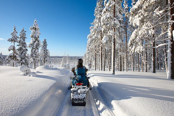 Easy Snowmobile Safari - An In-Depth Look at the Snowmobile Safari