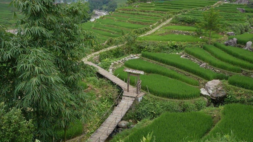 Easy Trek in Sapa Mountain : Y Linh Ho - Lao Chai - Ta Van - Key Points