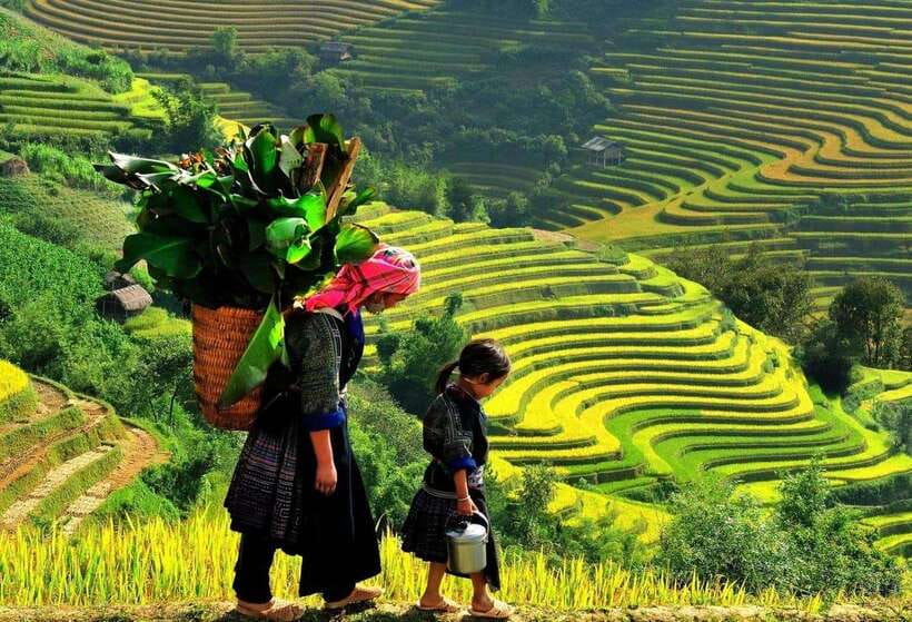 Easy Trek in Sapa Mountain : Y Linh Ho - Lao Chai - Ta Van - Tour Overview
