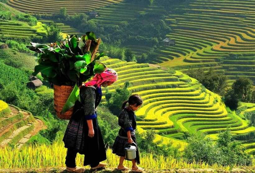Easy Trek in Sapa Mountain : Y Linh Ho - Lao Chai - Ta Van - Participant Suitability