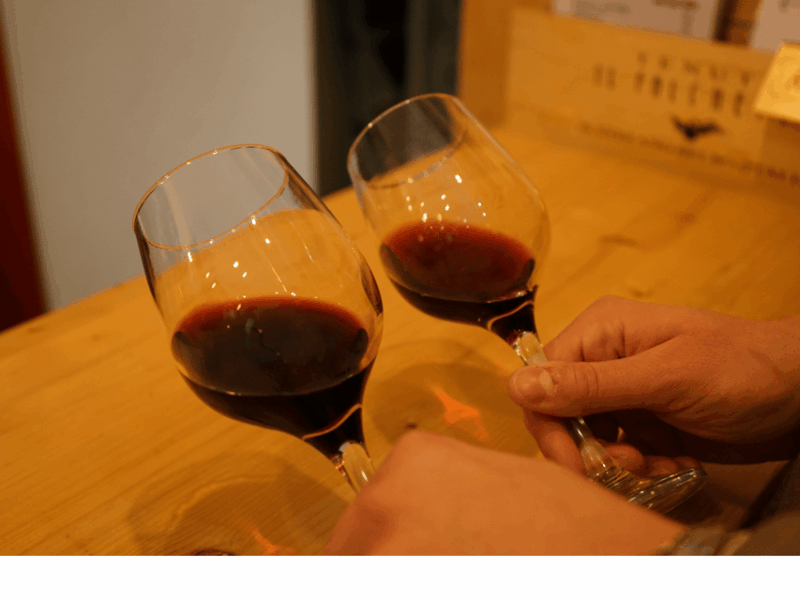 Easy Wine Tasting in Turin City Center - Nebbiolo, Barbera, and Roero Riserva: The Red Wines