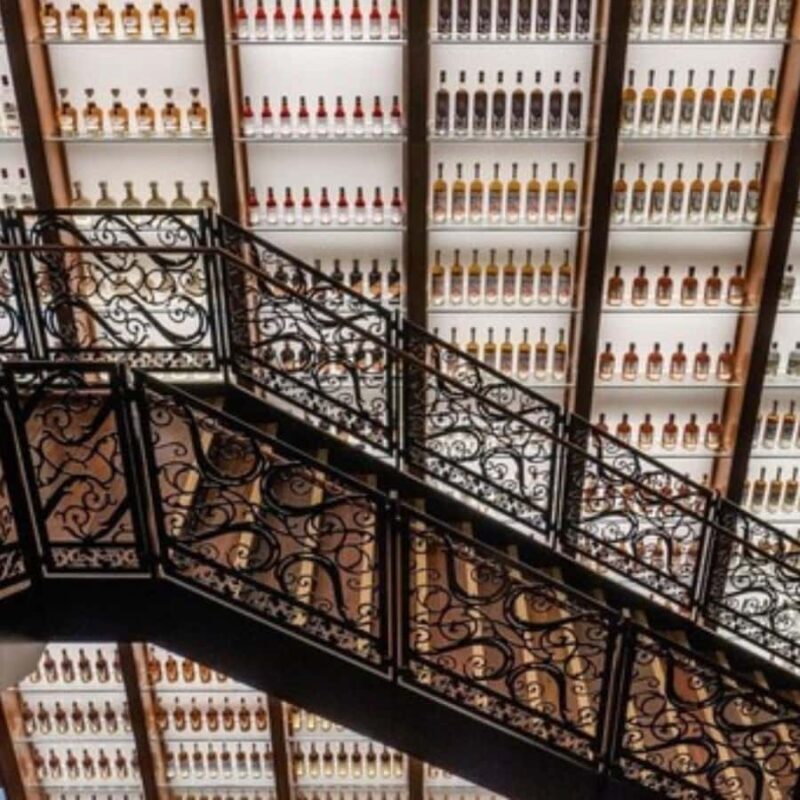 Eat, Drink, and "Vue" New Orleans! - An Authentic 3-Hour New Orleans Experience