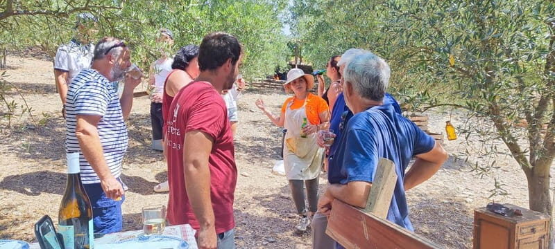 Eat in the vineyards like a Duriense - An Authentic Taste of Douro’s Culinary Heritage