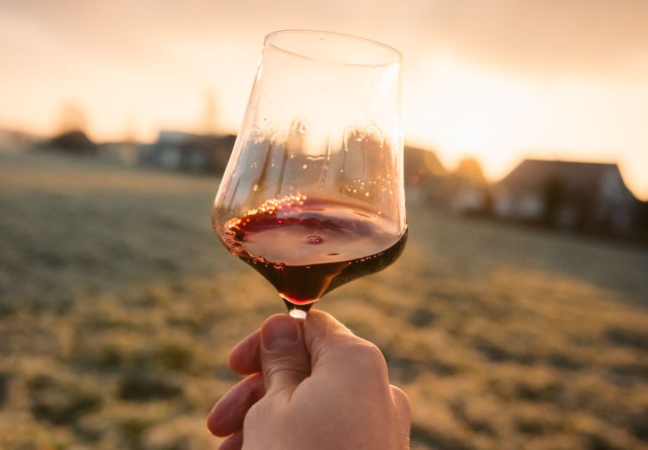 Ebike Tour and Wine Tasting - Key Points