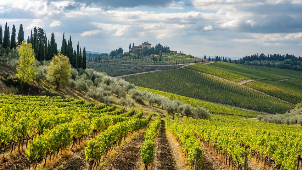 Ebike Tour and Wine Tasting - Experience Details