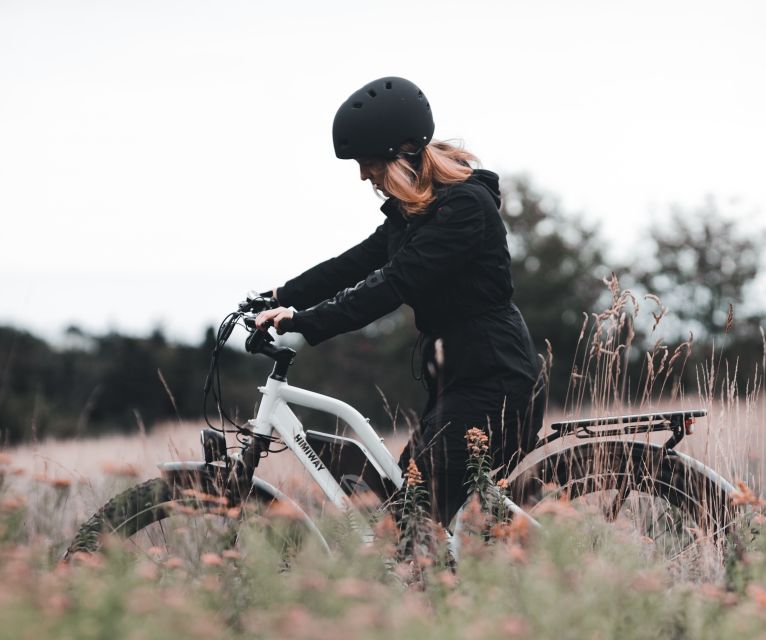 Ebike Tour and Wine Tasting - Wine Tasting at Winery