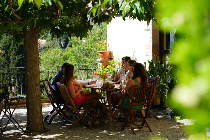 Ebike Tour, Winery, Wine Tasting & Sailing Experience(Car Option) - Tour Description