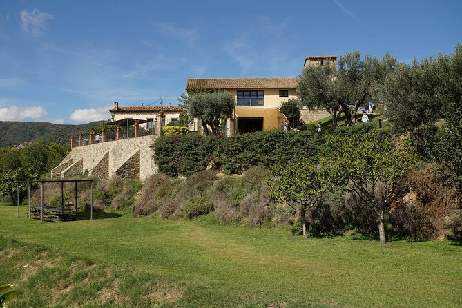 Ebike Tour, Winery, Wine Tasting & Sailing Experience(Car Option) - Confirmation and Accessibility