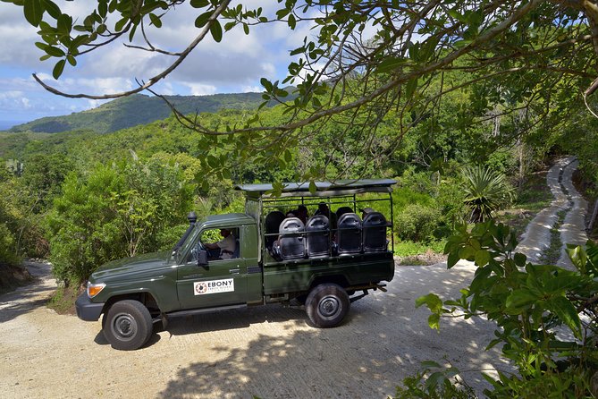 Ebony Forest Reserve Chamarel - Take a Hike Tour - Visitor Accessibility