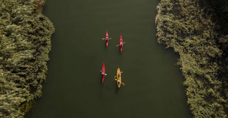 Ebro Delta: Guided Kayak Tour to Gracia Island - Key Points