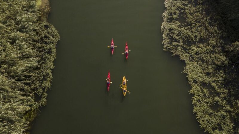 Ebro Delta: Guided Kayak Tour to Gracia Island - The Bottom Line