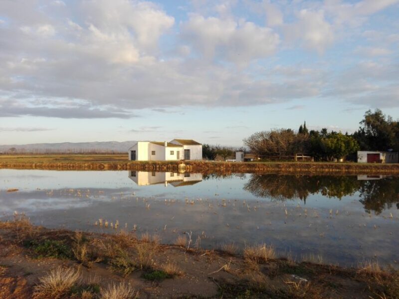 Ebro Delta: Northern Delta Guided Tour with a Local - What to Expect: Practical Details