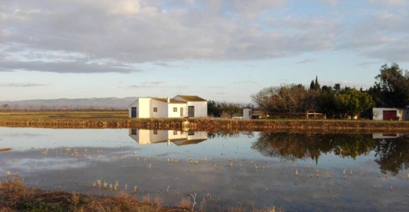 Ebro Delta: Northern Delta Guided Tour with a Local - Is This Tour Right for You?