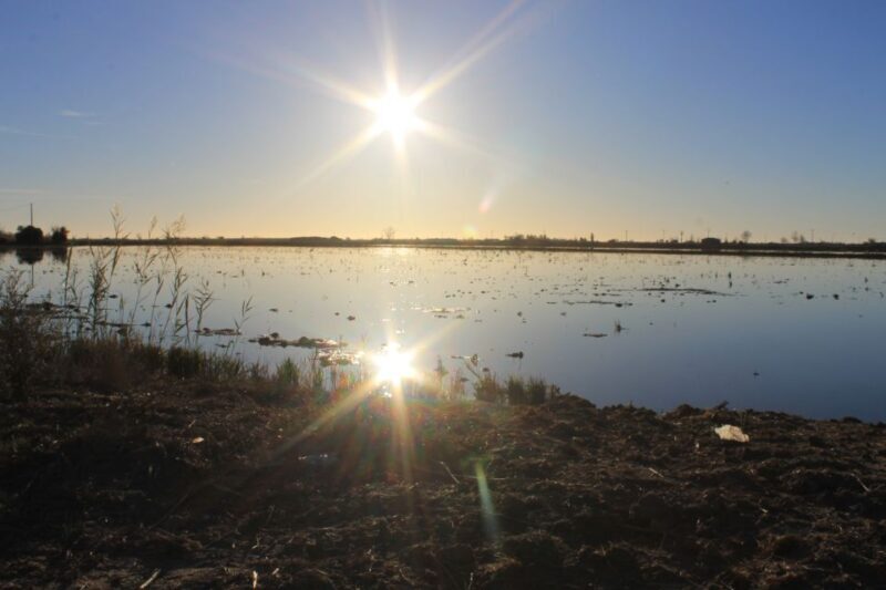 Ebro Delta: Northern Delta Guided Tour with a Local - Frequently Asked Questions