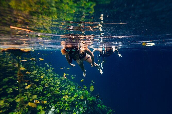 ECHANTING 2 Days excursion to 2 different ecoparks in RIVERA MAYA with transport - Price and Value