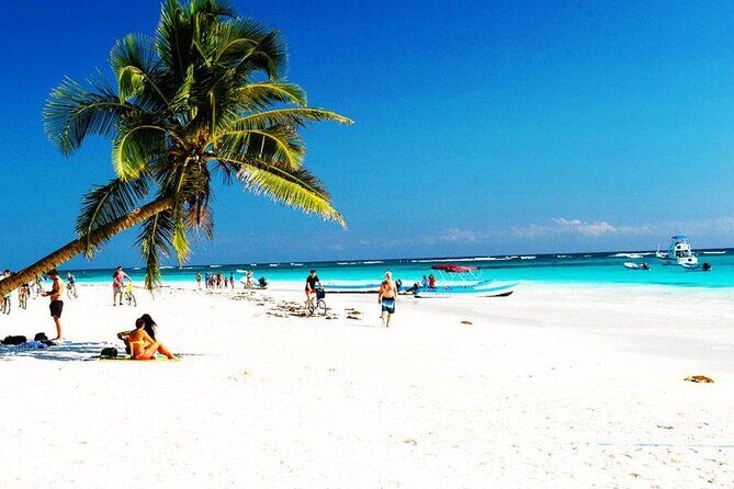 Eco Adventure At 3 Cenotes & 1 Lagoon ! From Cancun & Riviera - Who Will Love This Tour?