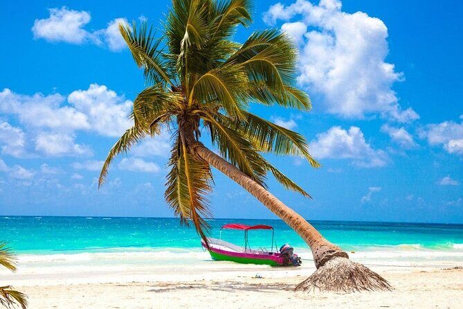 Eco Adventure At 3 Cenotes & 1 Lagoon ! From Cancun & Riviera - The Sum Up