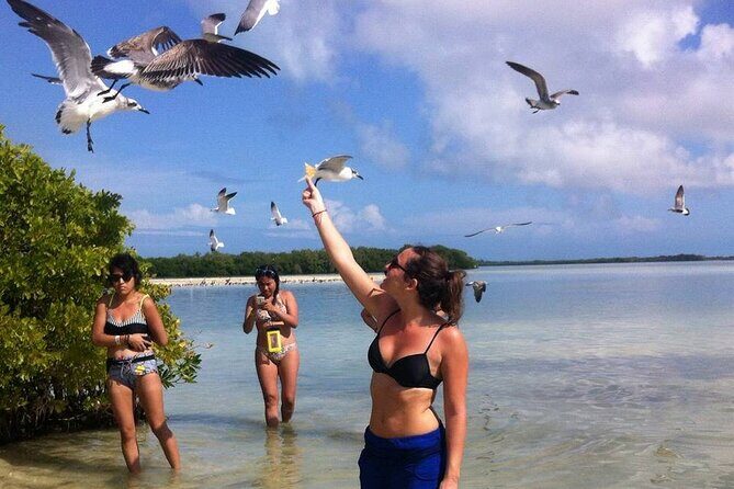 ECO-Adventure at Holbox Island and Cenote Yalahau from Cancun & Playa Del Carmen - Key Points