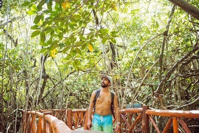 Eco Adventure Cenotes Casa Tortuga!+ Tulum Ruins From Cancun & Playa Del Carmen - Authentic Insights from Travelers