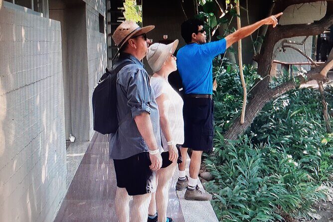 Eco Adventure in the Archaeological Area of Copalita - Frequently Asked Questions