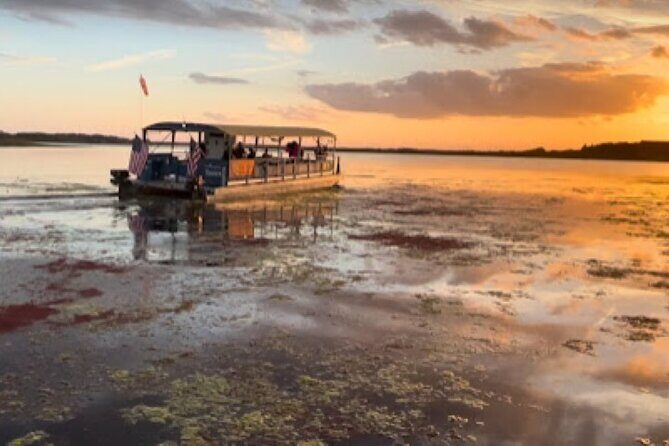 Eco Adventure Scenic Wildlife Boat Cruise - Key Points