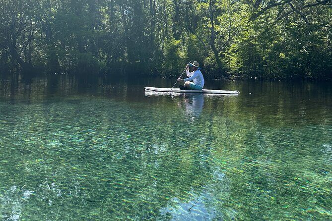 ECO adventure to Cypress Springs by Paddle Board or Kayak - Key Points