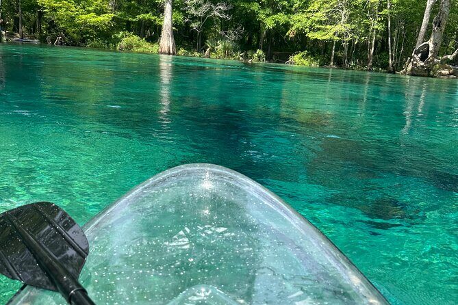 ECO adventure to Cypress Springs by Paddle Board or Kayak - Who Should Consider This Tour?