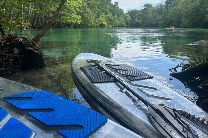 ECO adventure to Cypress Springs by Paddle Board or Kayak - FAQ