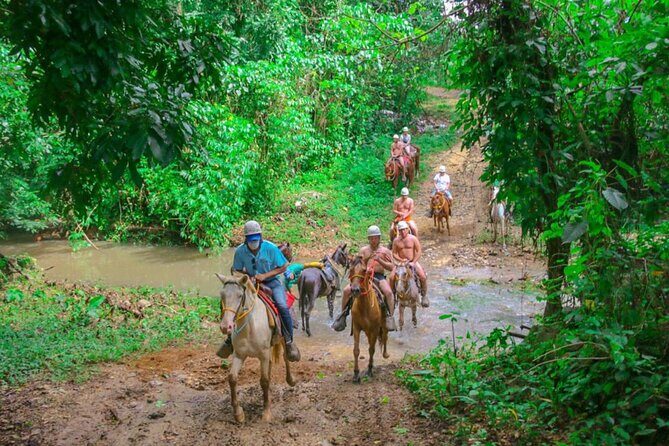 Eco Aventure Park+ Zipline+Horseback Ride+Buggy - Final Stop: Macao Beach