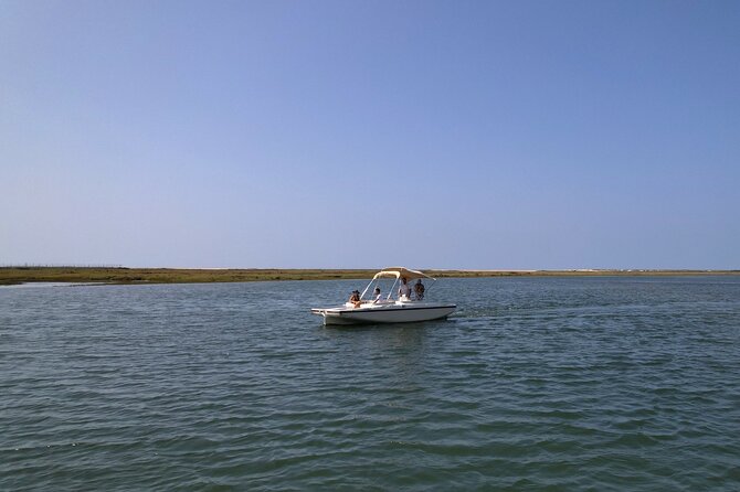 Eco Boat Tour in the Ria Formosa Lagoon From Faro - Wetland Scenery and Native Wildlife