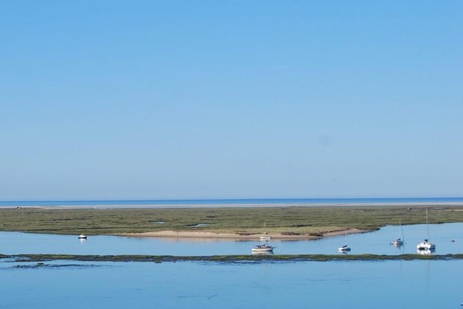 Eco Boat Tour in the Ria Formosa Lagoon From Faro - Tour Reviews and Ratings