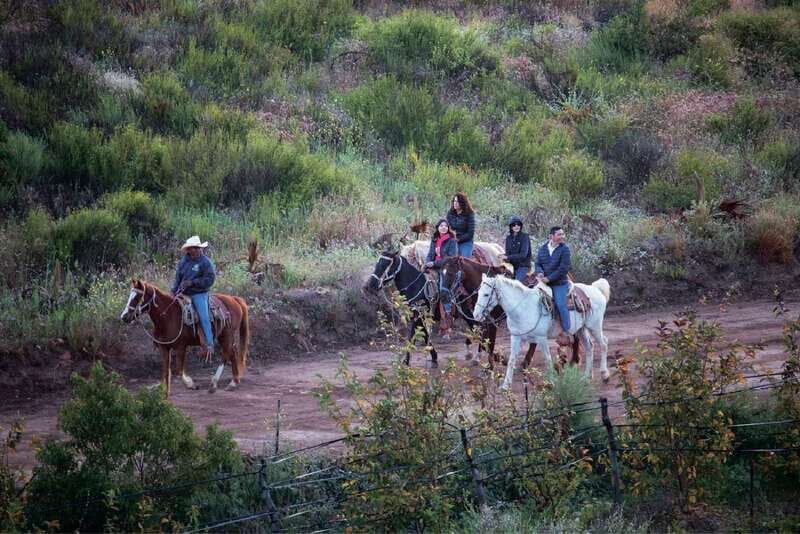 Eco Canyon Horseback Riding Excursion - Final Words: Is It Right for You?