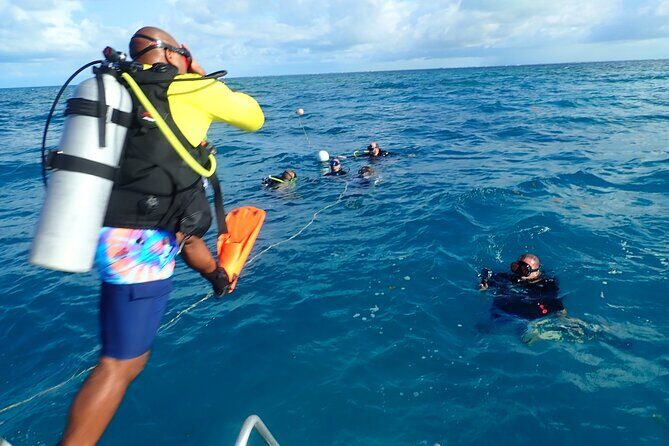 Eco Conscious Reef Diving with Southpoint Divers - Who Will Love This Tour?