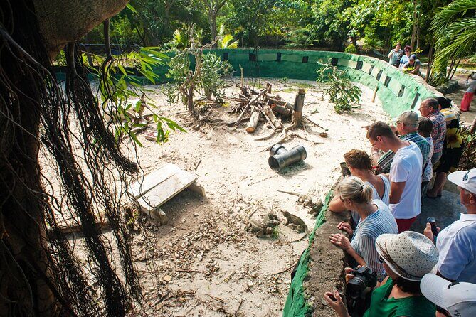 Eco Exploration: Golf Cart Adventure and Catamaran Cruise - Exploring Punta Cana on a Golf Cart