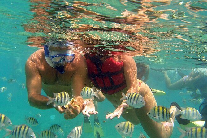 Eco Exploration: Golf Cart Adventure and Catamaran Cruise - Final Thoughts: Who Is This Tour Best For?