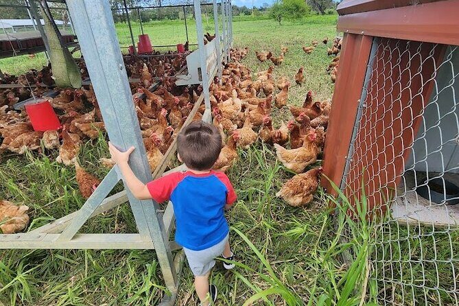 Eco Friendly Farming Tour to Explore Dorado's Most Beautiful Farm - The Sum Up