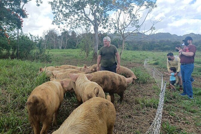 Eco Friendly Farming Tour to Explore Dorado's Most Beautiful Farm - Frequently Asked Questions
