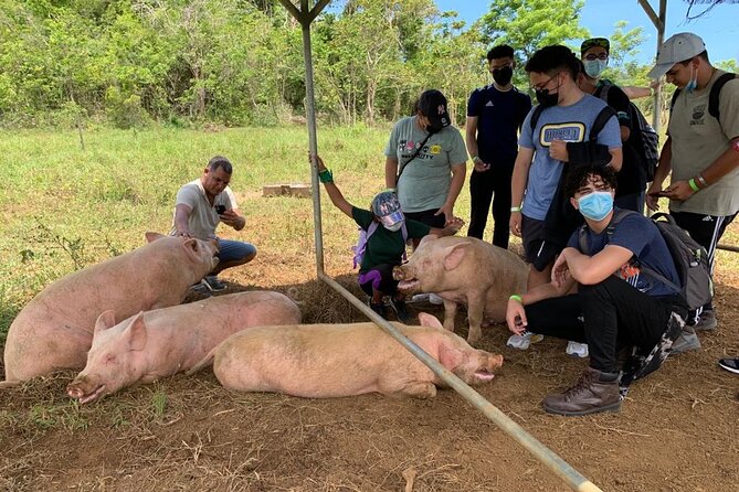 Eco Friendly Farming Tour to Explore Dorados Most Beautiful Farm - Visitor Recommendations and Tips