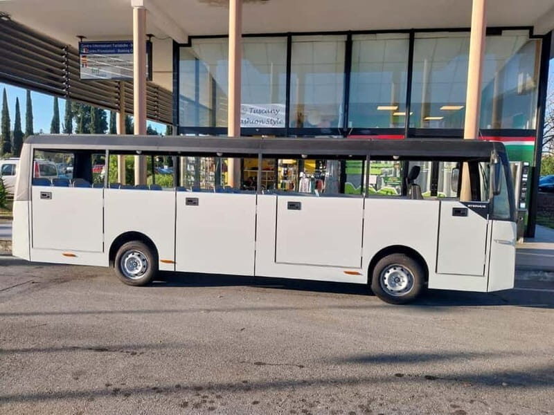 Eco-Friendly Pisa: The Electric Minibus Experience - A Closer Look at the Electric Minibus Tour in Pisa