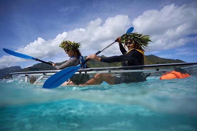 Eco guided excursion to the lagoon of Moorea in transparent kayak 1/2 day morning - The Bottom Line  